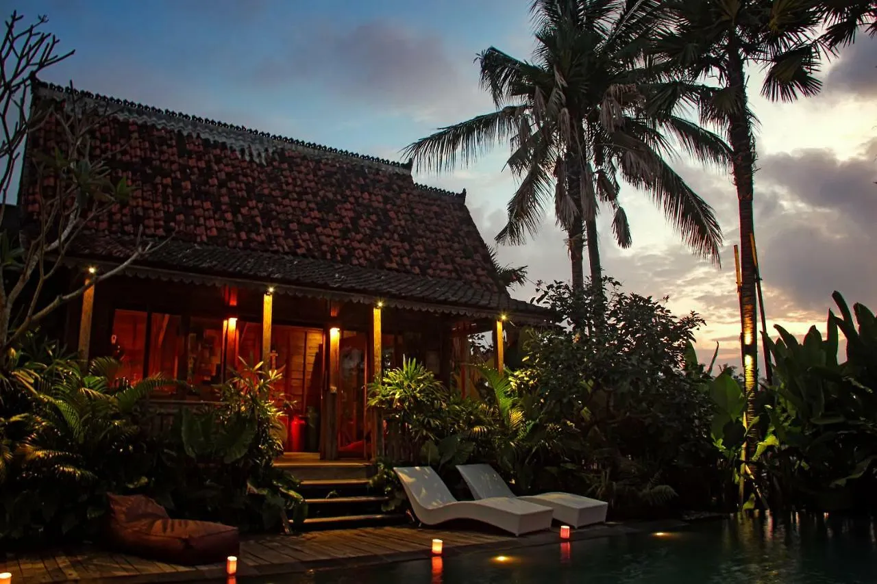 Ubud Virgin Villa 0*, Ubud (Bali)